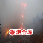  奮進新征程 建功新時代｜長春金控集團舉辦“七一”主題黨日活動